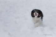 Winter Round 4-16