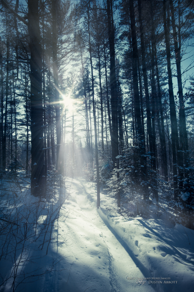 The Snowshoe Path