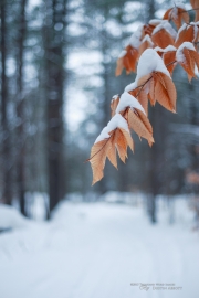 Winter Round 4-22