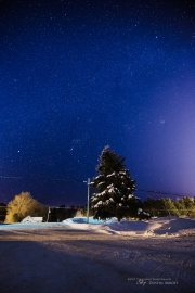 Frozen Stars - Tamron 15-30 VC