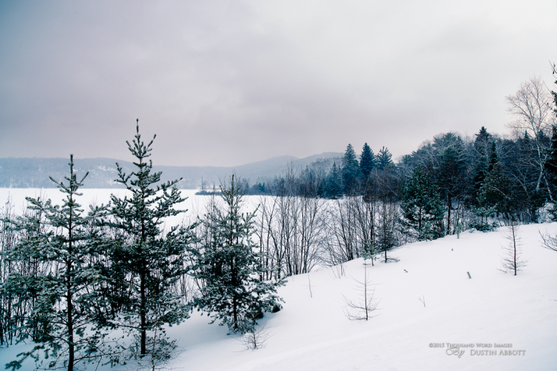 Winter's Kiss