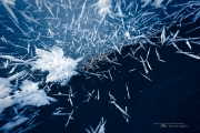 The Formation of Winter