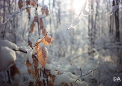 20-Real-World-Sharpness-3