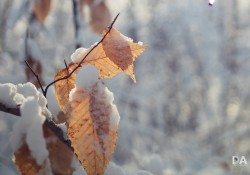 20-Real-World-Sharpness-4