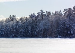 22-Real-World-Landscape-3