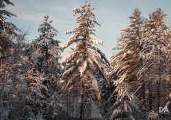 22-Real-World-Landscape-5