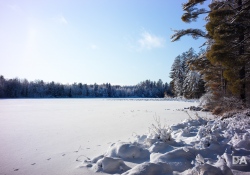 22-Real-World-Landscape-6