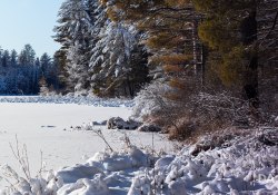 22-Real-World-Landscape-7