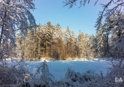 22-Real-World-Landscape-8