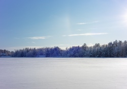 22-Real-World-Landscape