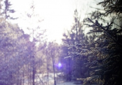30-Flare-3