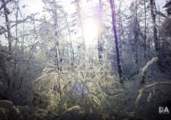 30-Flare-6