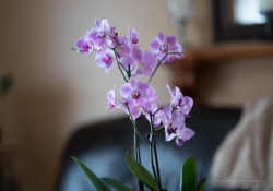 Low Shutter Speed
