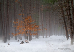 Rendering-7