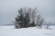 Fog and Rain-3