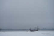 Fog and Rain-4