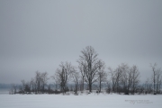 Fog and Rain-5