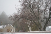 Fog and Rain-6