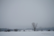Fog and Rain