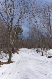 Hiking-5