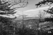 More Batis 25 Samples-7
