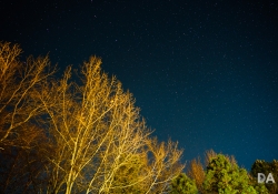 Astro