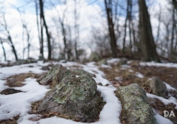 FF Bokeh-5