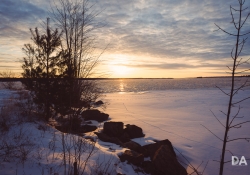 Landscapes-2
