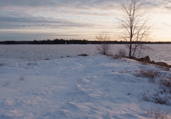 Landscapes-3
