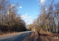 Landscapes