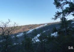 Virginia Samples-2