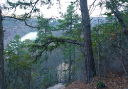 Virginia Samples-3