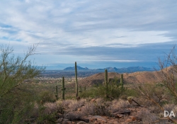 23 Valley of the Sun