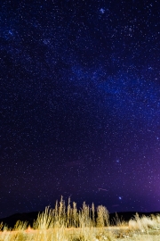 Starry Skies over the High Plains
