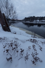 Unprocessed Samples-6