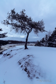 Unprocessed Samples-8