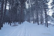 Unprocessed Samples-9