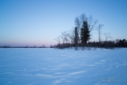Travels-4.jpg