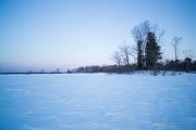 Travels-6.jpg