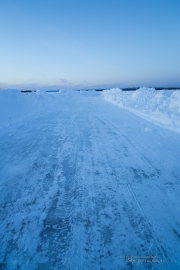 Travels-7.jpg
