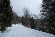 Tremblant-6.jpg