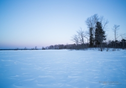 Travels-6.jpg