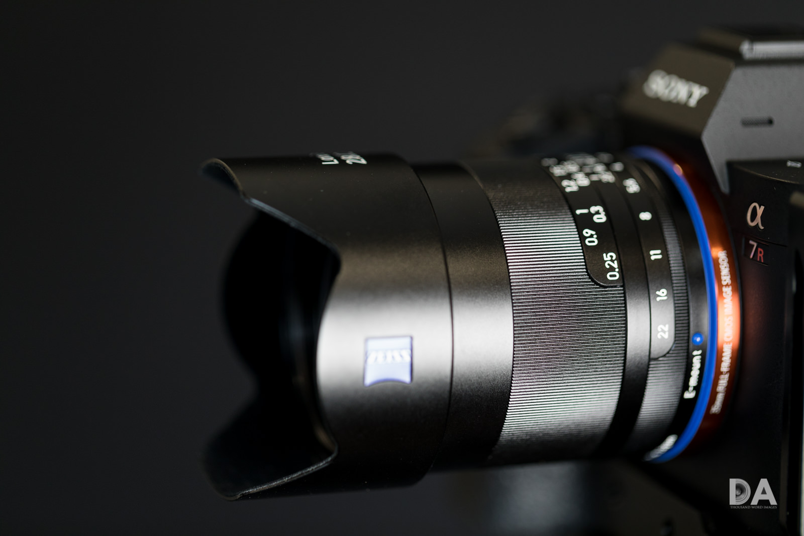 Zeiss Loxia 21mm F2.8 Distagon Review - DustinAbbott.net