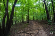 Kentucky-2
