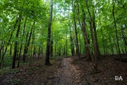 Kentucky-4