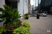 Ottawa-3