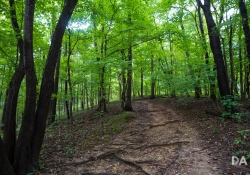 Kentucky-2