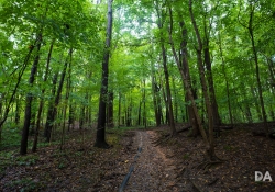 Kentucky-4