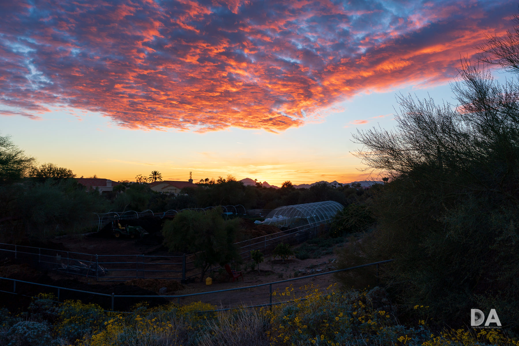 19 Arizona Sunsets