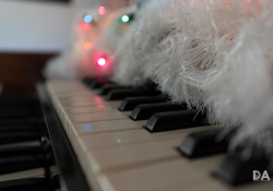21 Bokeh-3